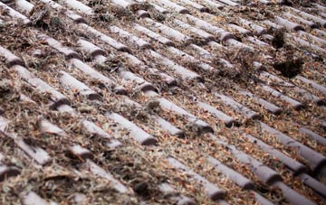 Spaxton roof cleaning companies